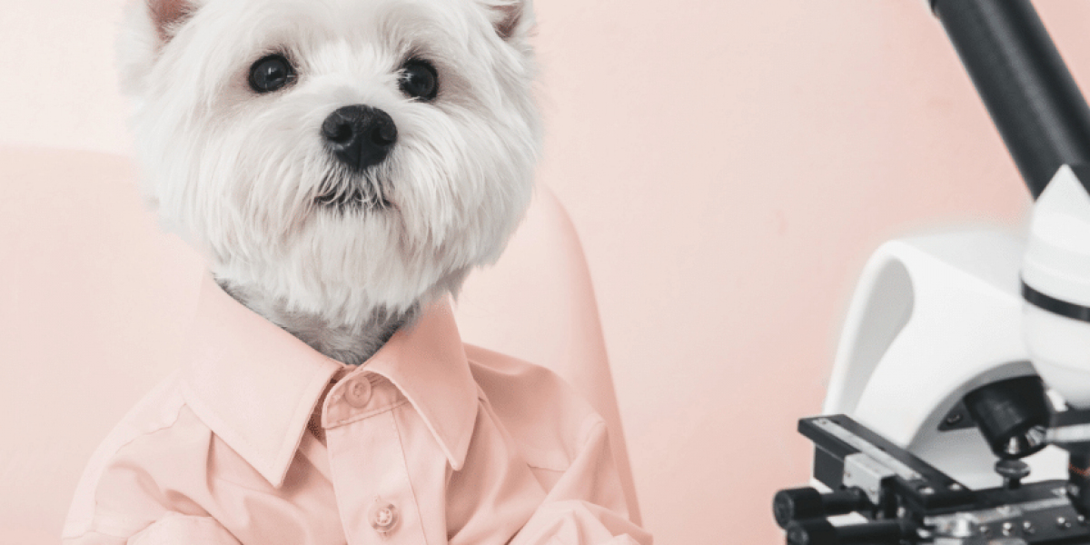 Por Que Exames Veterinários São Essenciais para a Longevidade do Seu Amigo de Quatro Patas?