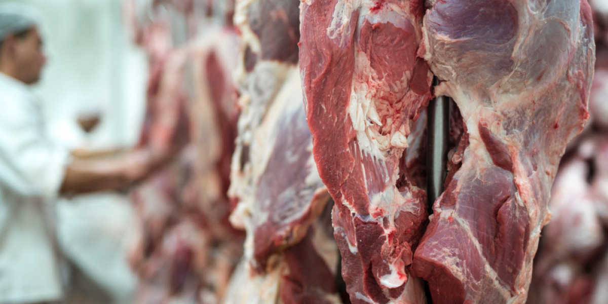 Global Halal Meat Market | Insights: Trends, Innovation Future Projections Rising Growth Business Analysis And 2024 Fore