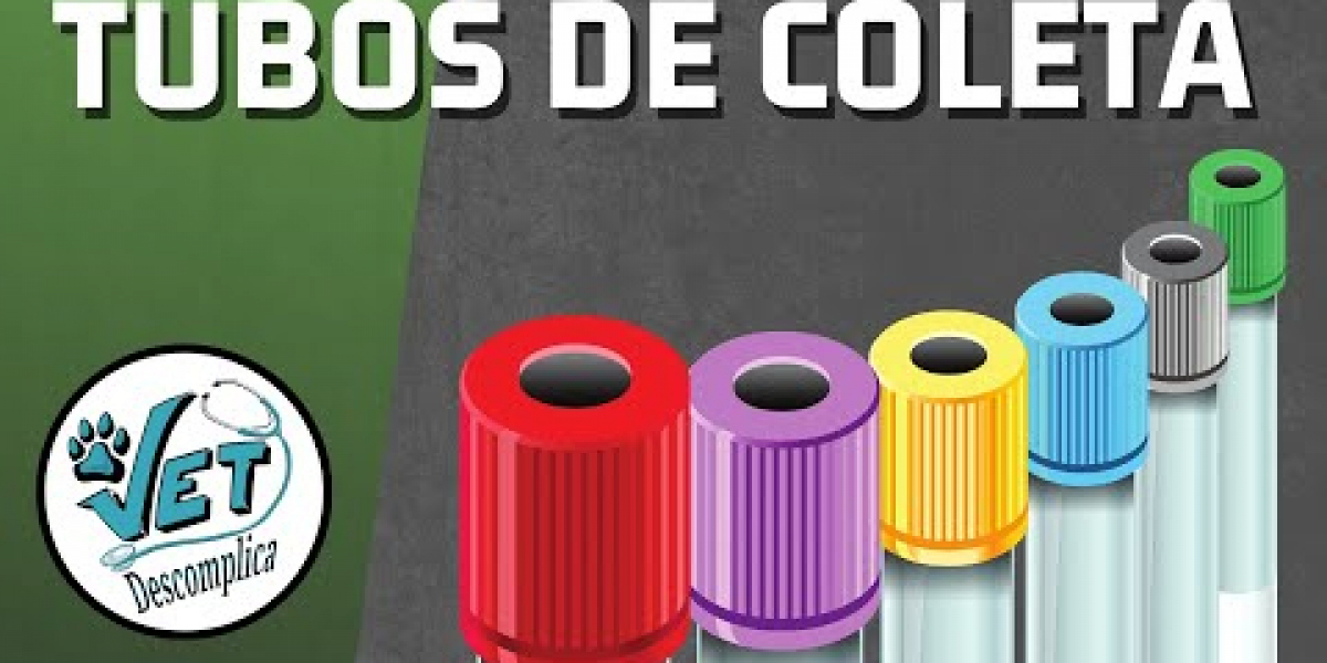 Testes Endócrinos para Seu Pet: Onde Encontrar o Melhor Atendimento?