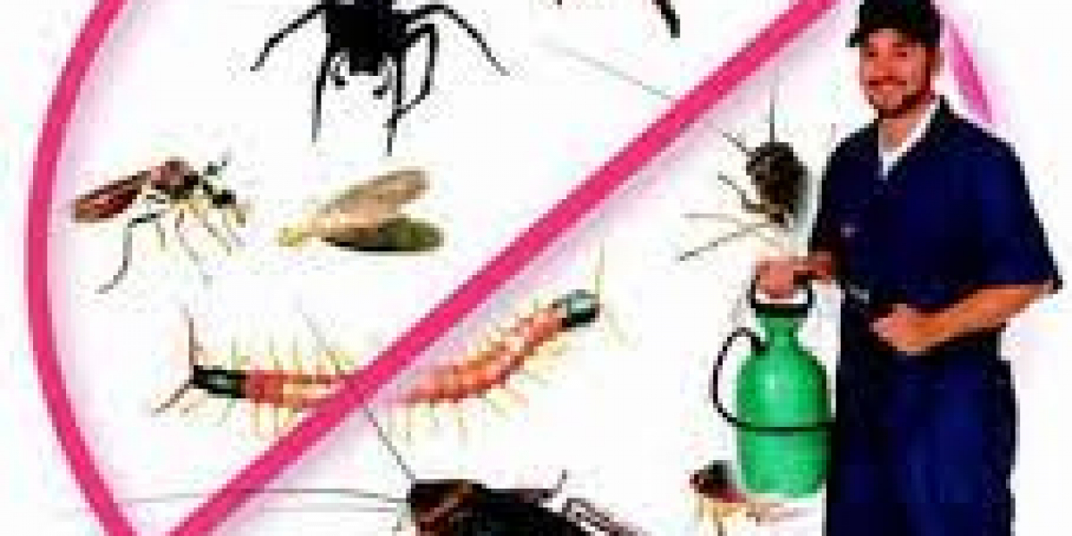 Pest Control in Bells Creek: Keeping Your Property Safe and Pest-Free