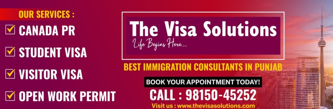 The Visa Solutions