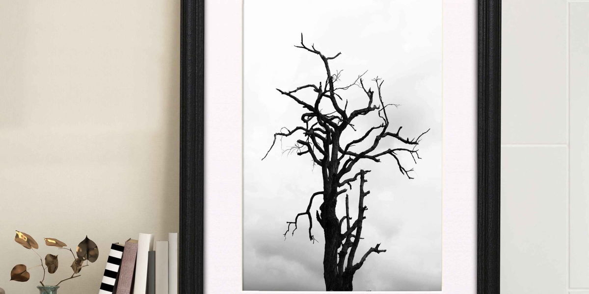 Shop Our Black Picture Frames for Chic UK Décor – Stylish & Elegant – FRAMOREY