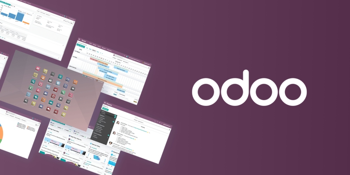 Top Factors to Consider Before Hiring Odoo ERP Software in Dubai