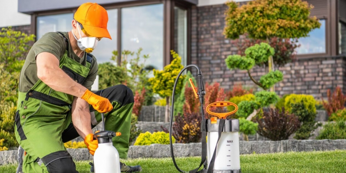 How to Handle Unwanted Guests: Expert Tips for Hiring an Exterminator in Brampton and Managing