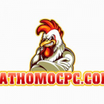 Đá gà thomo