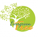The Evergreen Tree