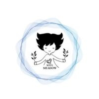 Soul Meadow Holistic