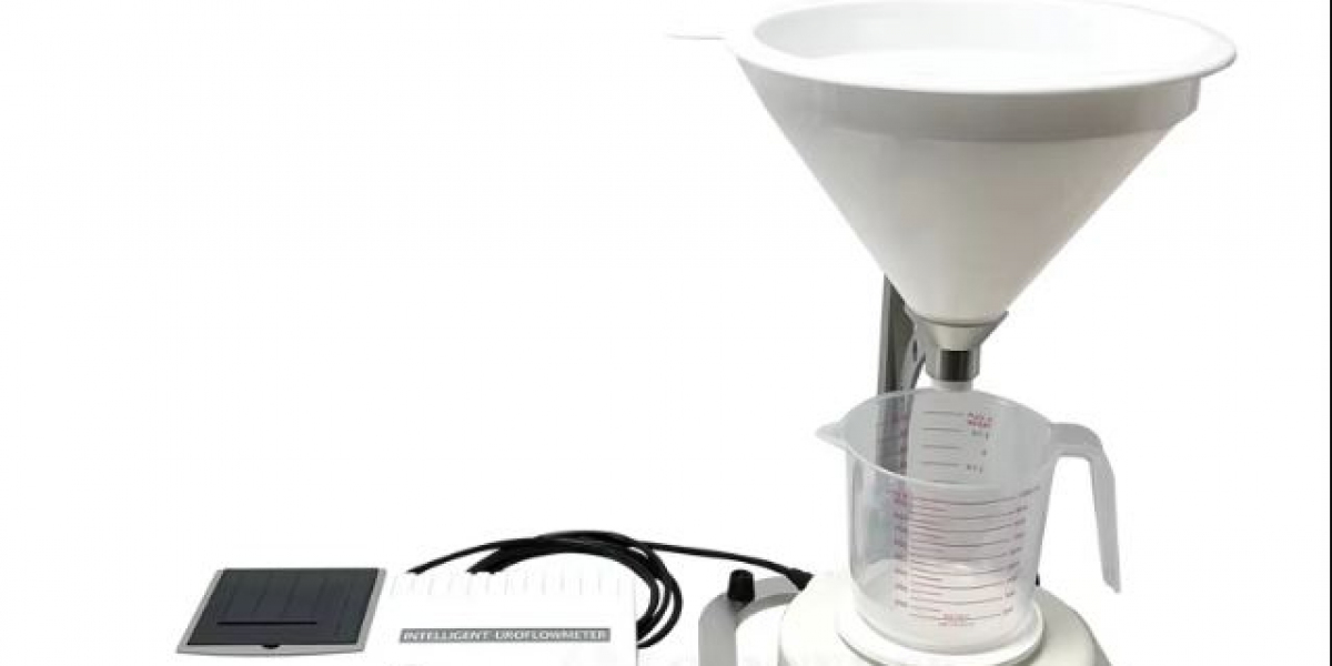 Uroflowmetry System Market 2031: Size, Segmentation, Trends, and Opportunities