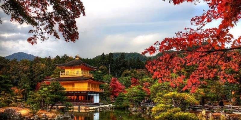 Average Wage in Japan: What Workers Earn in 2025 - A-realty Blog