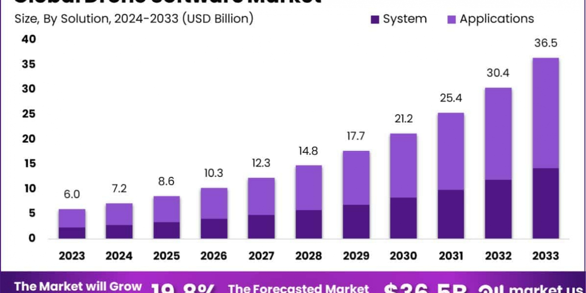 The Future of Flight: Drone Software Market
