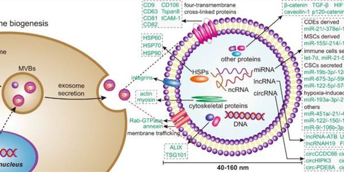 Comprehensive Suite of Exosome Modification Products to Advance Research