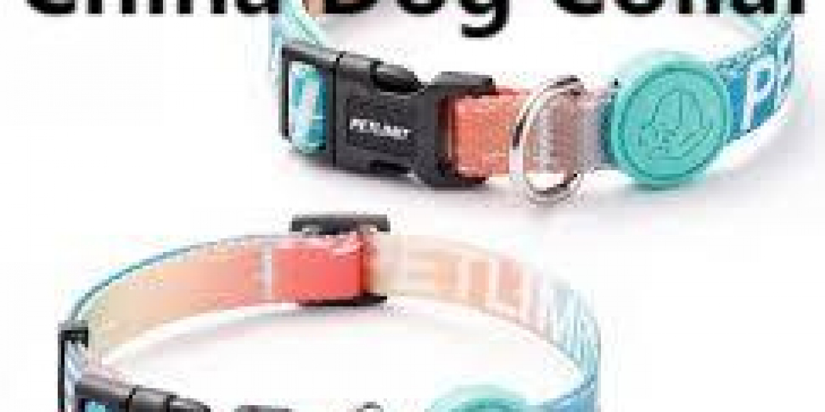 Discover Functional Elegance with China Dog Collar Designs from tallfly