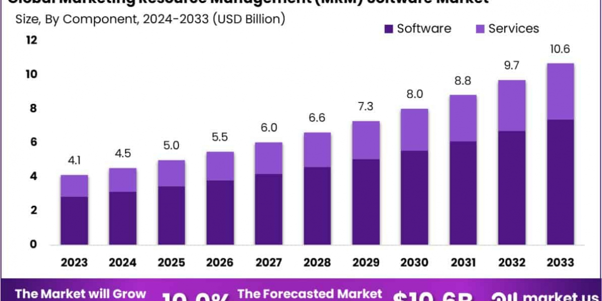 Smart Planning, Smarter Software: The MRM Revolution