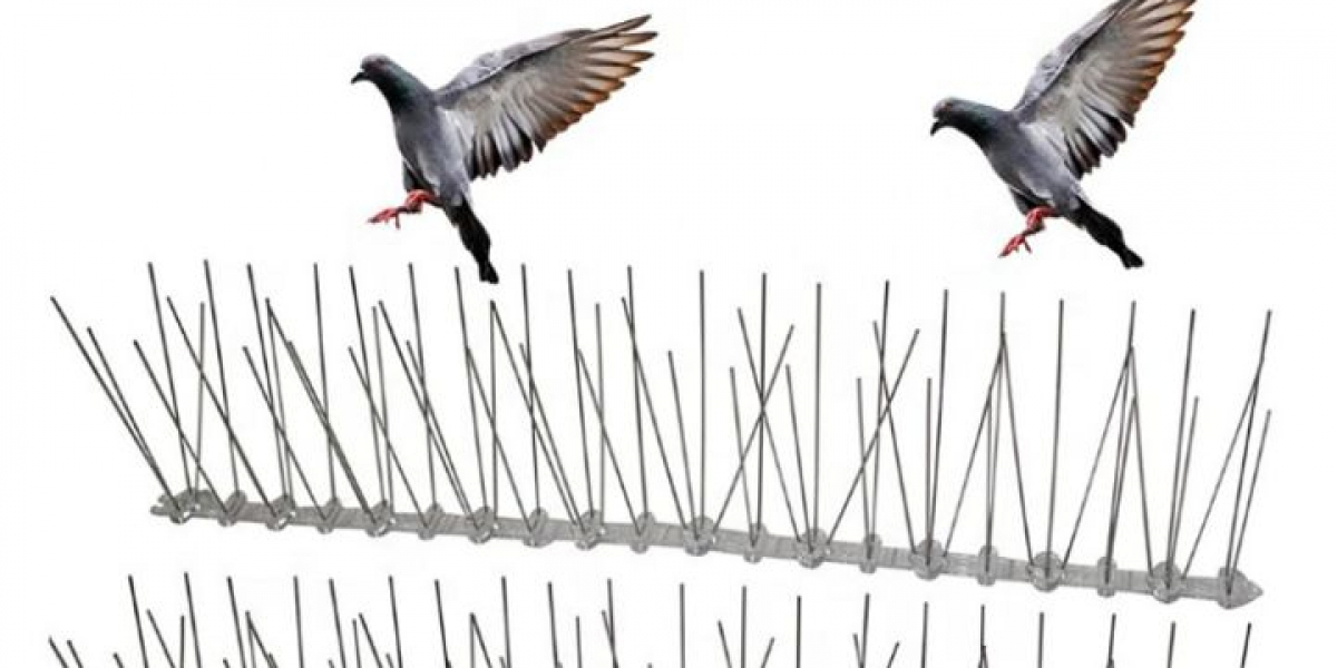 Best Anti-Bird Spikes for Dubai Homes & Businesses