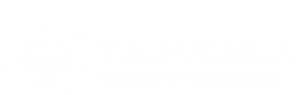 THC Cannabisblüten Kaufen | Cannabisblüten Bestellen | Triphoria