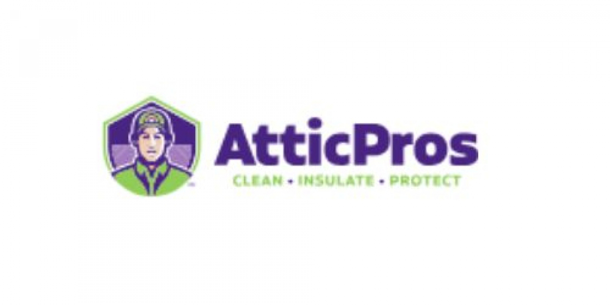 Why Crawl Space Cleaning Matters: Your Home’s Health Starts from Below