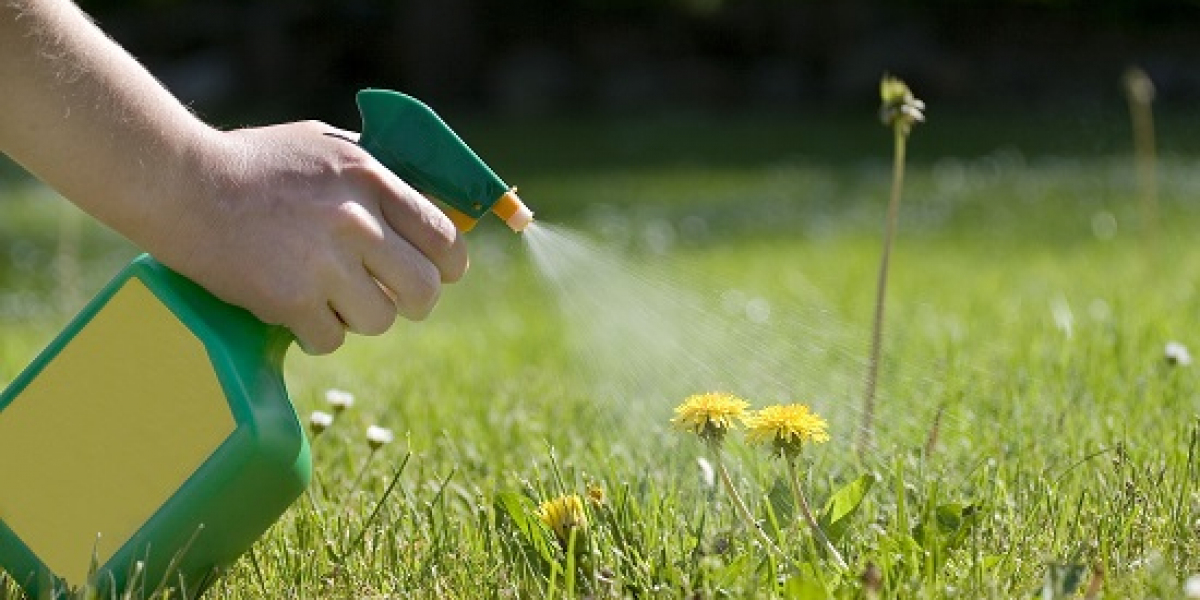 Emerging Trends in the Global Herbicides Market: Innovation, Resistance, and Bio-Solutions