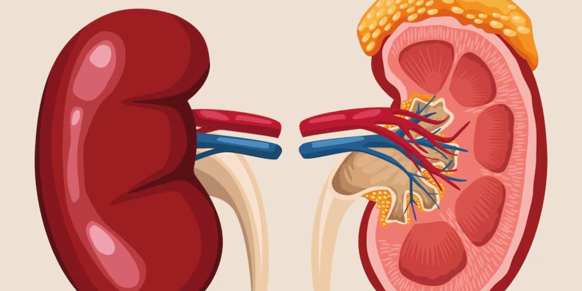 Best Ayurvedic Treatment and Medicines for Kidney Swelling: Punarnava, Gokshura, Varuna, and More