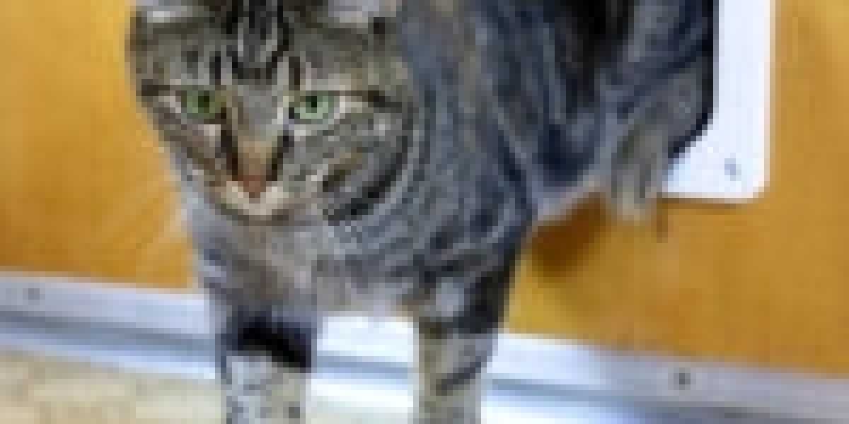 What's The Job Market For Pet Door Fitter Professionals Like?