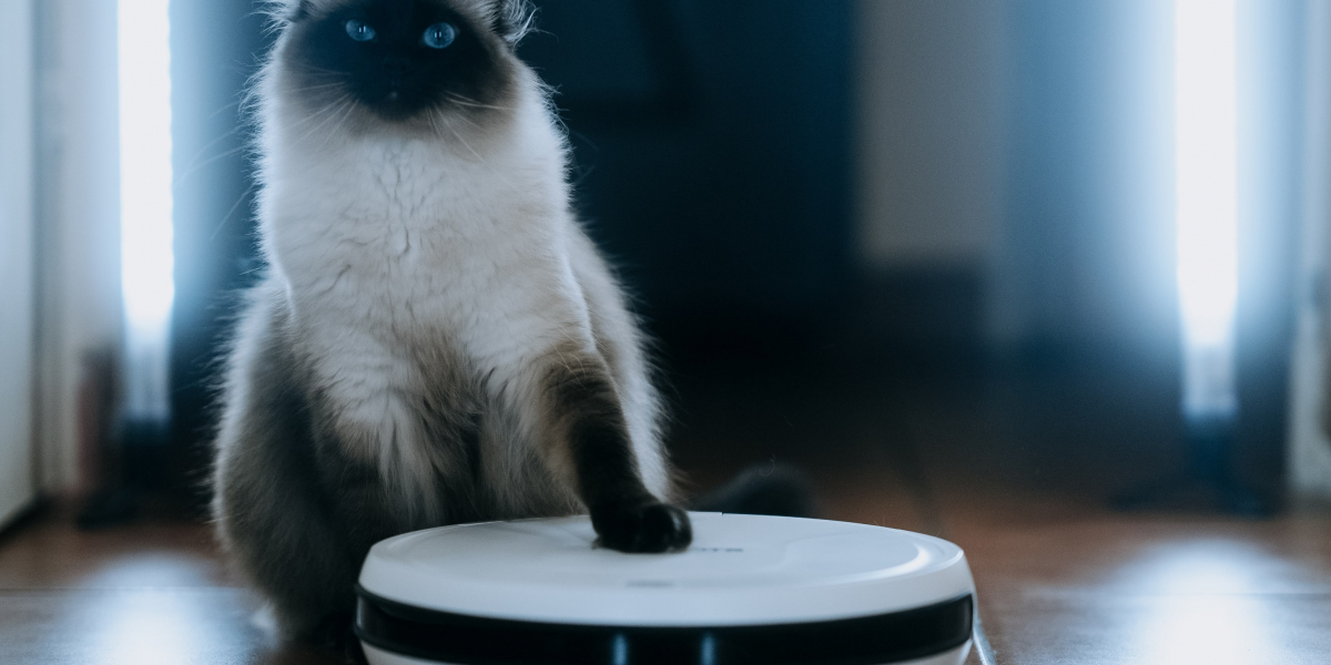 Cleaning Robots: A Technological Revolution for Your Home and Beyond