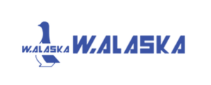 رقم صيانة الاسكا في مصر 19069-01156272999 توكيل صيانة الاسكا بمصر ALASKA