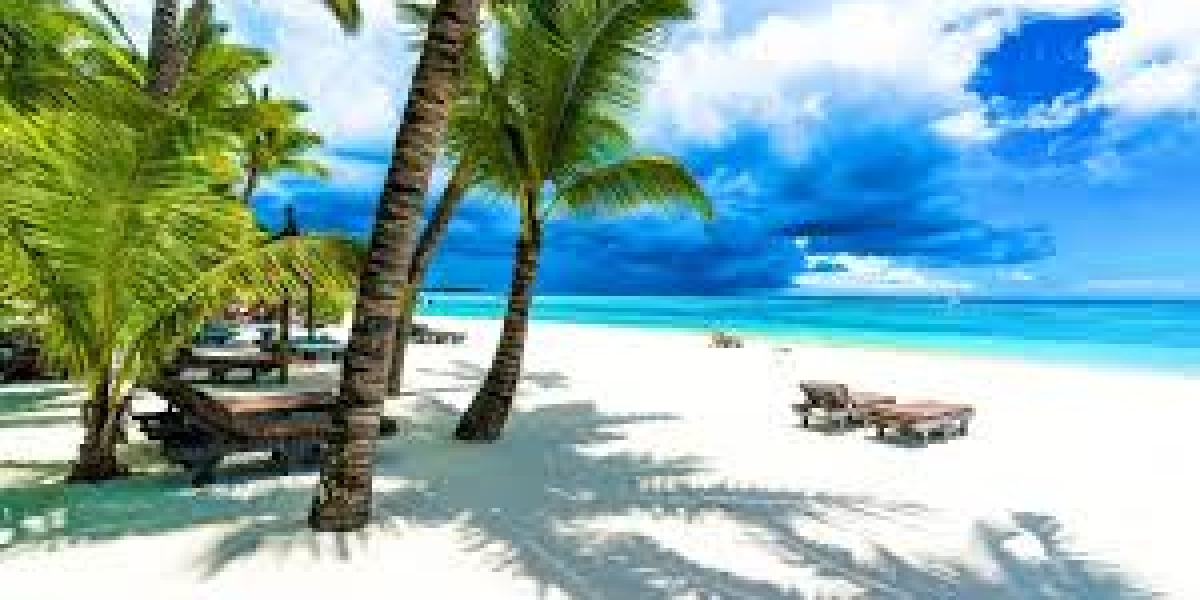 Mauritius or Vietnam? Plan Your Next Dream Escape With the Right Tour Package