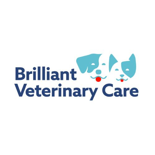 Brilliant Veterinarycare