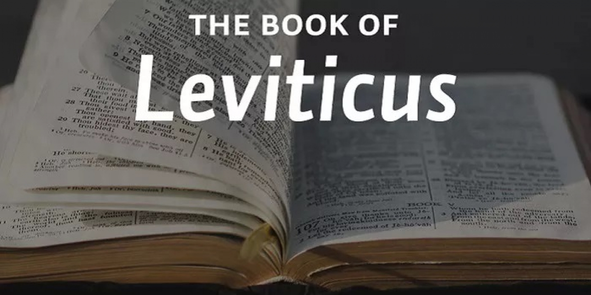 What Happens in the Book of Leviticus?