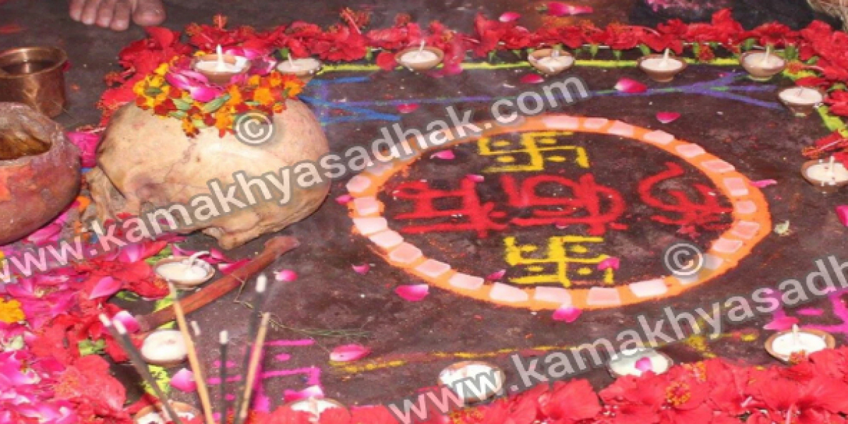 Best Astrologer in Jaipur