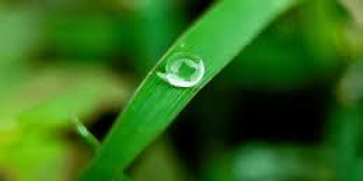 7dew: Solusi Kecantikan Alami untuk Semua