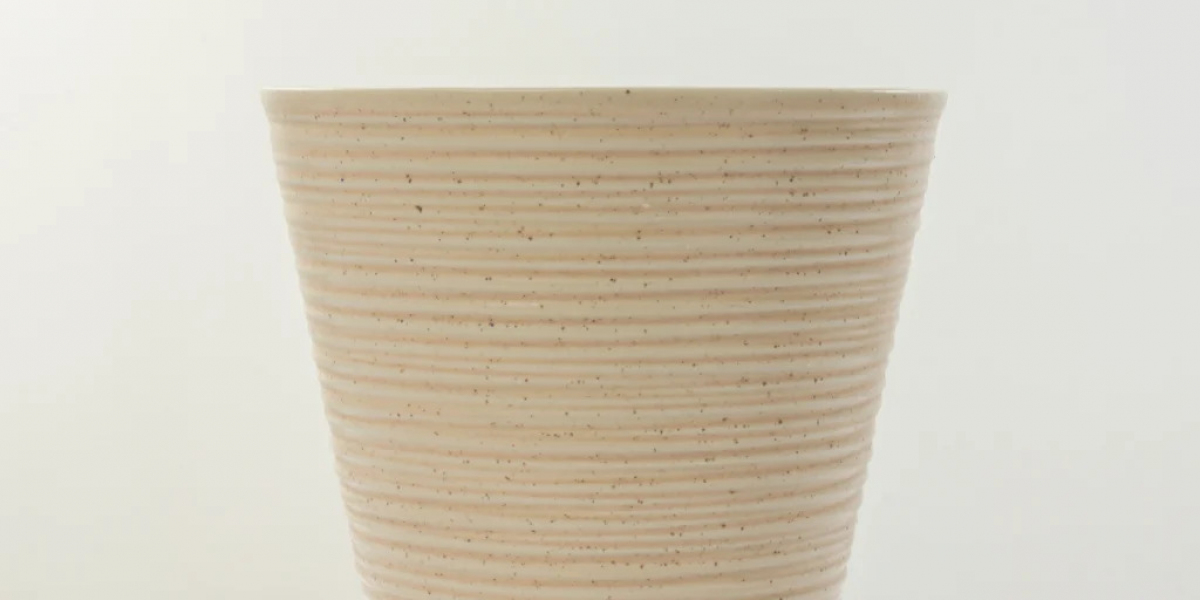 Buy Big Plant Pots Online for a Better Garden Setup