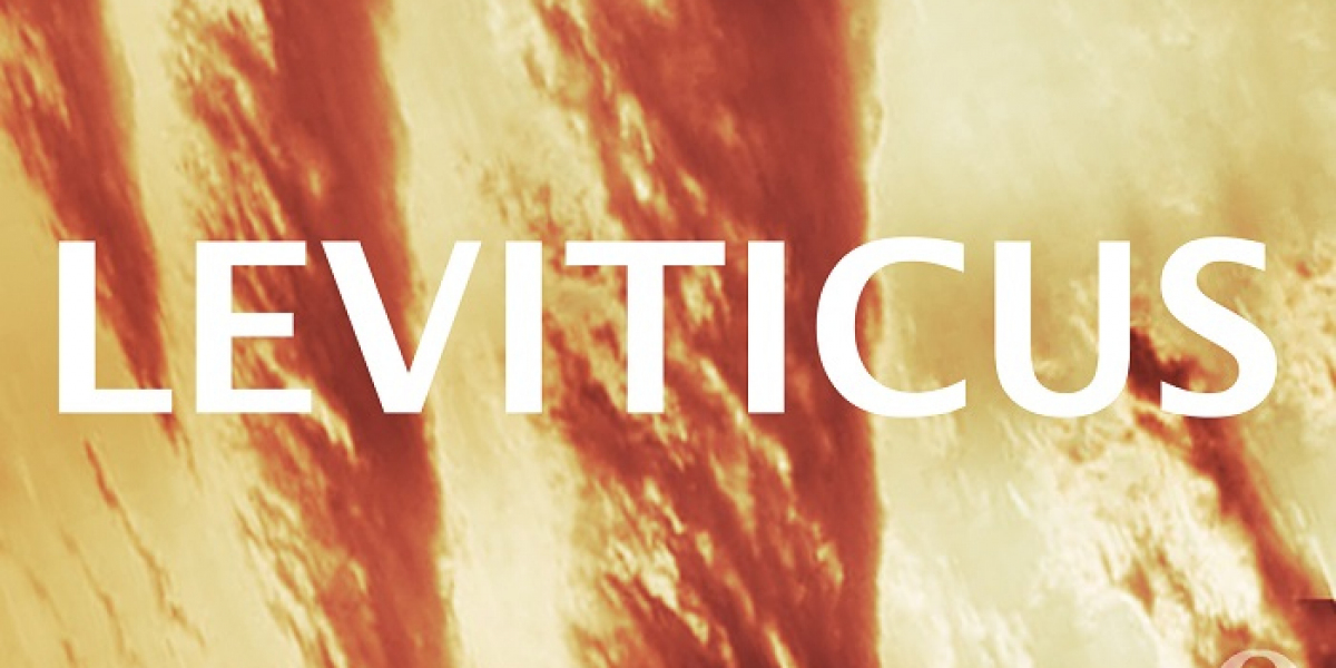 What Are the 5 Offerings in the Book of Leviticus