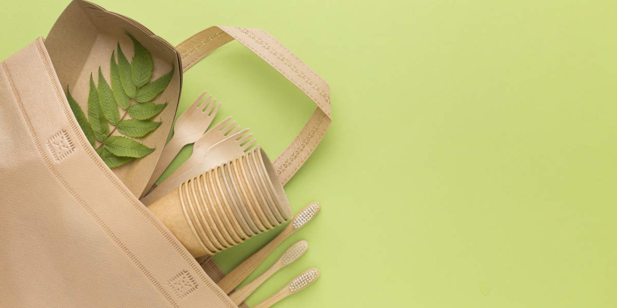 What Makes Compostable Carry Bags Ideal for Andhra Pradesh’s Plastic Ban?