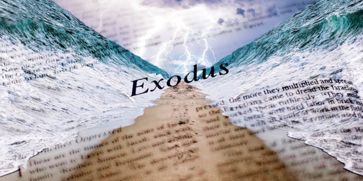 What Is the Basic Story of Exodus?