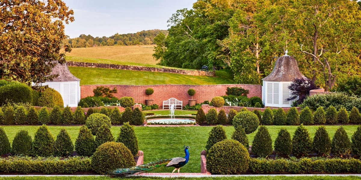 Transform Your Garden with Skilled Landscape Gardeners in Coventry