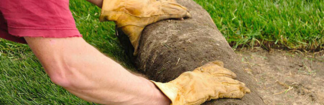 Turf Installation Sydney