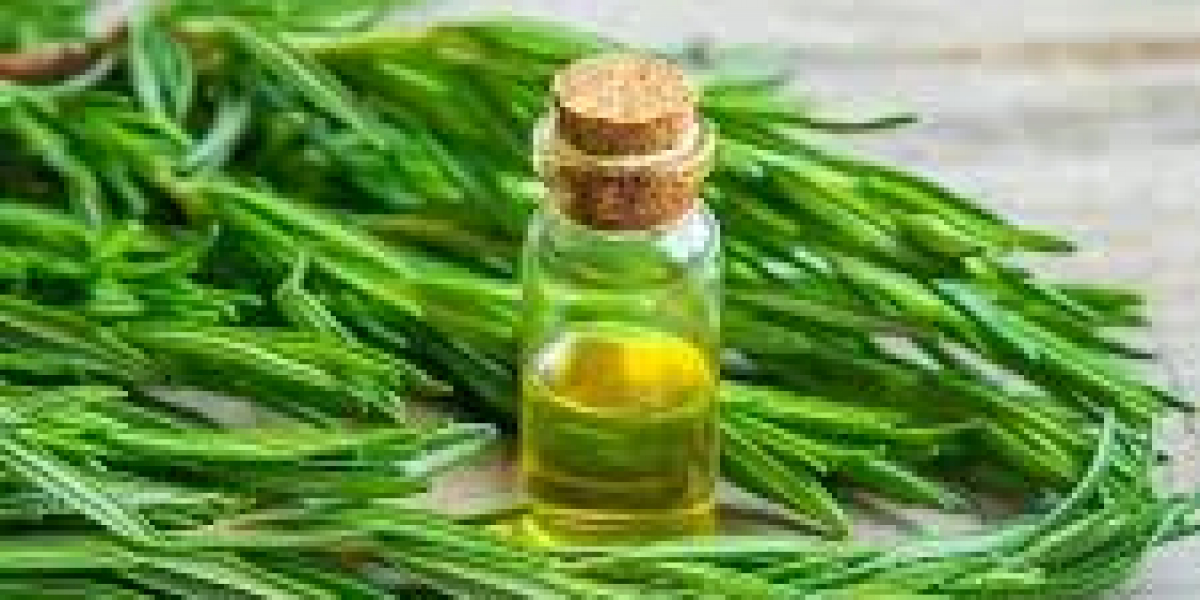 ? Top 10 Benefits of Using Rosemary Oil in Your Daily Routine