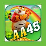 aa45 org