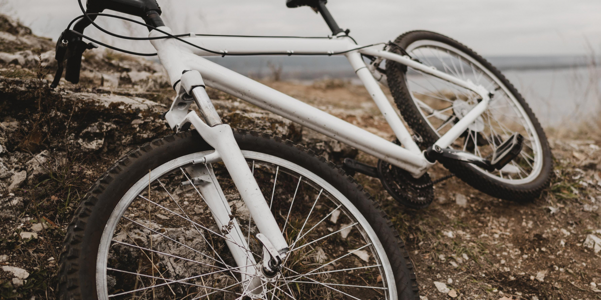 Mountain Bikes With Dual Suspension