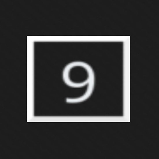 9Vids IP Cam