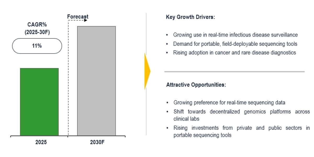 Nanopore Sequencing Market sees 11% CAGR as global DNA testing demand increases by 2030