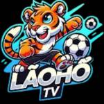 Laohotv pro