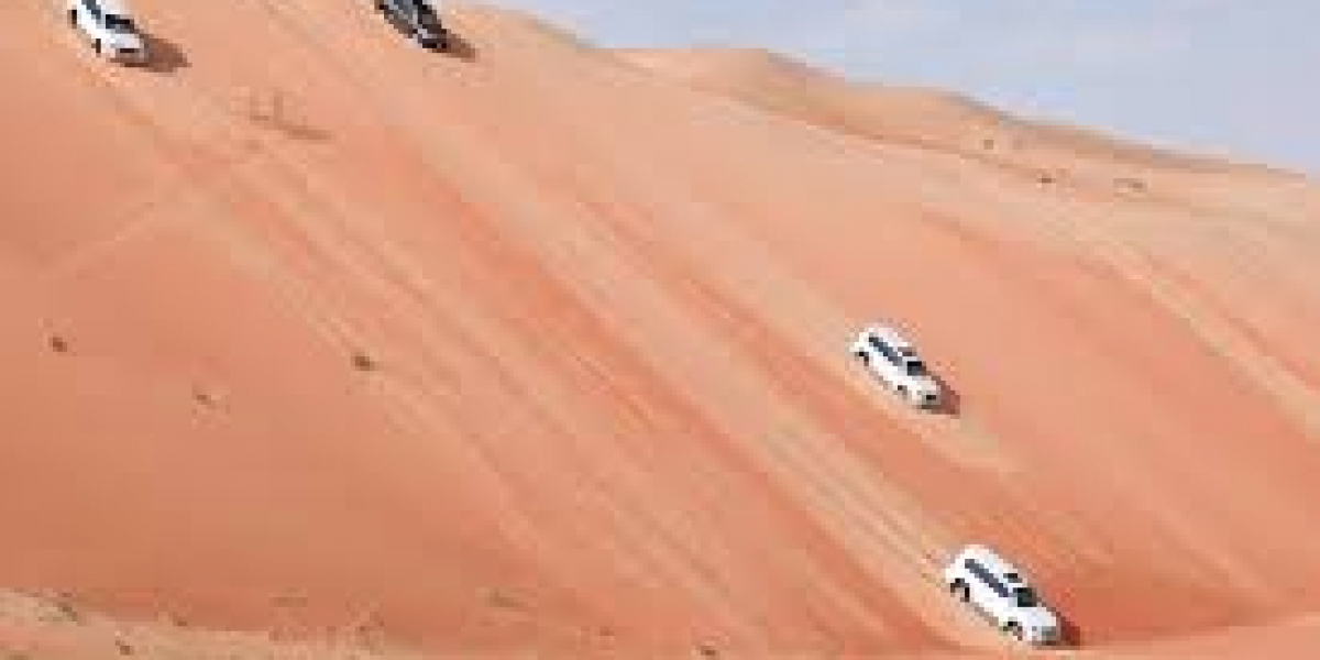 Liwa Oasis: The Hidden Gem of Abu Dhabi's Desert