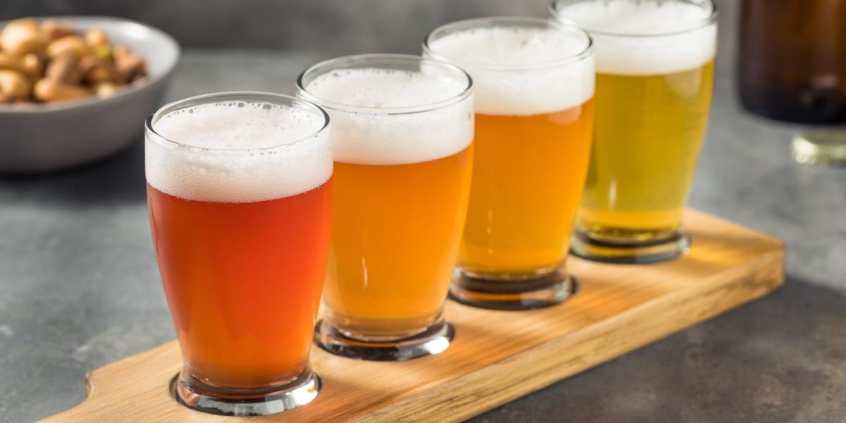 Craft Beer Manufacturing Plant Project Report 2025: Requirements and Cost Analysis