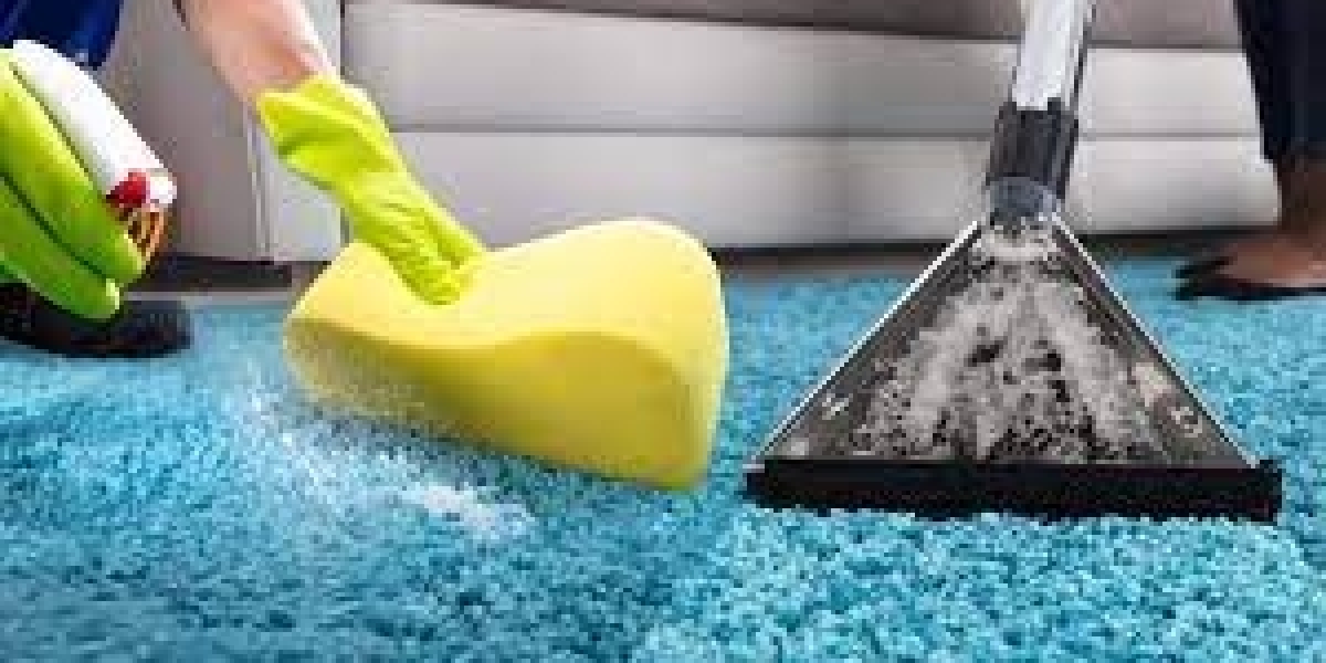 Why Regular Carpet Cleaning Is Vital for Home Health and Comfort