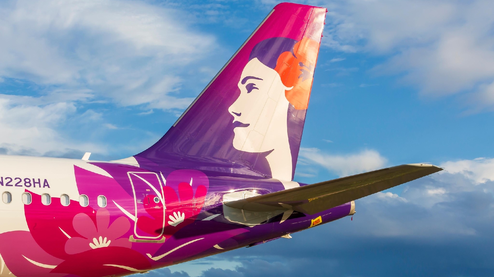 Hawaiian Airlines Group Travel: Booking & Baggage Fees Guide
