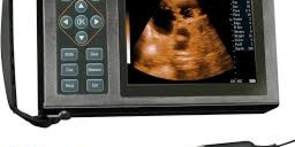 Veterinary Ultrasound Scanner Market Seeing Rising Interest in Wireless Probes for Streamlined Veterinary Imaging
