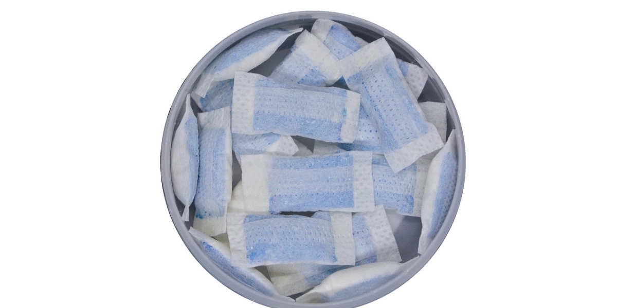 Modern Oral Nicotine Products Market Pain Points Affecting Adoption, Growth, and Consumer Satisfaction