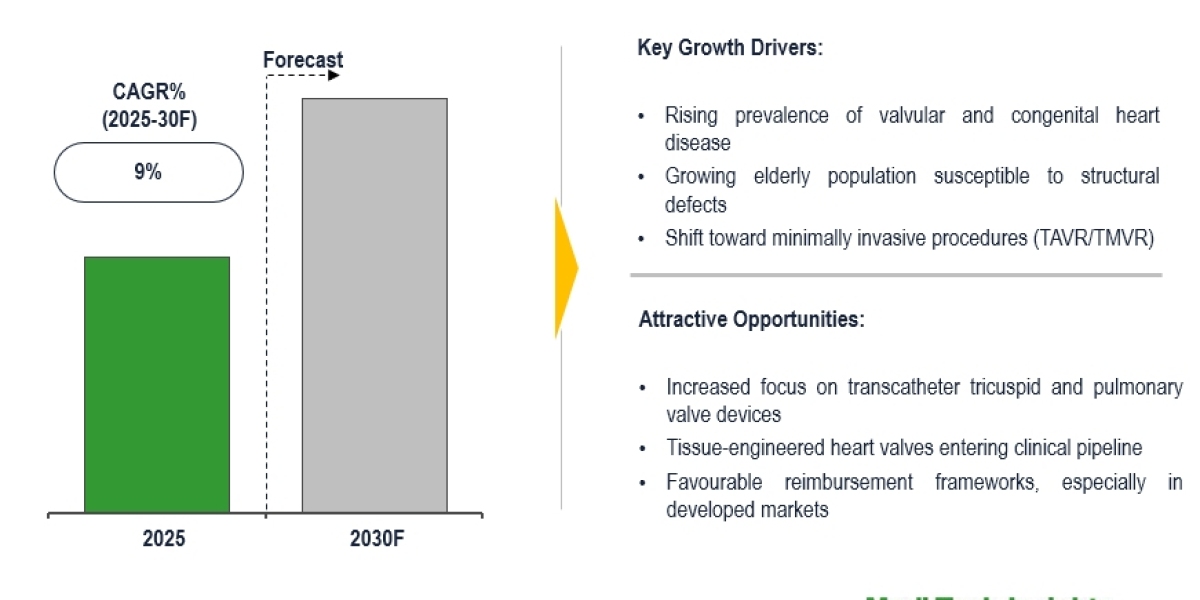 Global Structural Heart Devices Market expansion at 9% CAGR fueled by cardiac awareness 2030