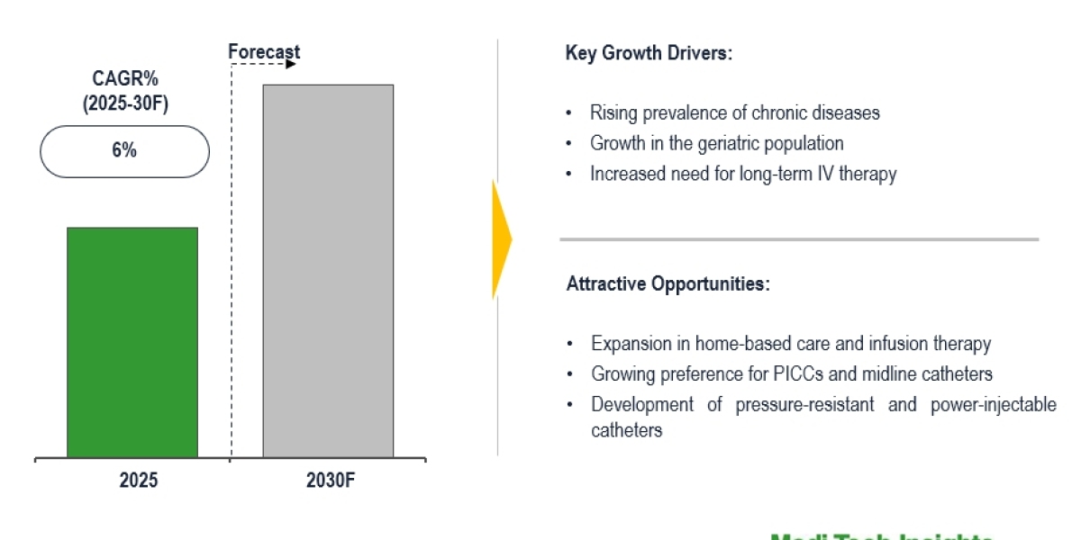 Global Vascular Access Device Market witnessing 6% CAGR with healthcare spending expansion by 2030